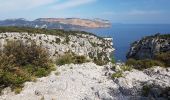 Tocht Stappen Cassis - De cassis à luminy (Marseille) - Photo 18