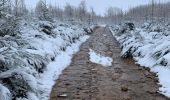 Tour Wandern La Roche-en-Ardenne - Autour de Samree  - Photo 11