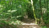 Trail Walking Questembert - PR_56_Questembert_AA_01_Circuit1b_Sentier-Des-Popinettes_20200521 - Photo 8