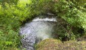 Randonnée Marche Bièvre - Oizy 21 km - Photo 5