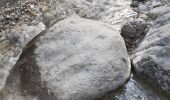 Randonnée Marche La Sure en Chartreuse -  Gorges de la Roize Voreppe - Photo 4