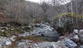 Trail Walking Barnas - Barnas - Photo 1