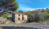 Tocht Stappen Cerbère - vilk1g3 des aloès - car Cerbère / retour  - Photo 12