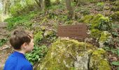 Trail Walking Esneux - Evieux, Ham, Beaumont - Photo 17