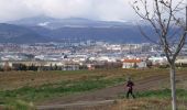 Trail Walking Cournon-d'Auvergne - Cournon-d'Auvergne (Puy-d'Anzelle) - Photo 3