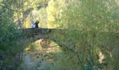 Tour Wandern Conques-en-Rouergue - CC_Velay_CA_10_Conques-Rouergue_Livinhac-Haut_20071101 - Photo 5