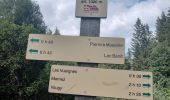 Tour Wandern Mont-Saxonnex - lac benit  - Photo 14