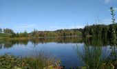 Tour Wandern Beulotte-Saint-Laurent - 13-10-19 : 1000 étangs entre Corravillers et Beulotte - Photo 5