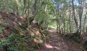 Trail Walking Sprimont - autour de dolembreux  - Photo 5