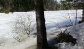 Trail Walking La Bresse - 24022021 La Bresse Lac des corbeaux - Photo 2