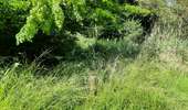 Trail Walking Dalhem - mortroux DA7  - Photo 8