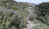 Randonnée Marche Marseille - Mont Puget par aiguille Guillemin, retour par le Vallon Mestrallet - Photo 3