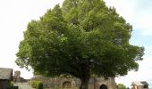 Tour Zu Fuß Greifenstein - Burg Greifenstein Weg 10 km - Photo 1