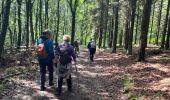 Trail Walking Durbuy - Oppagne - Photo 4