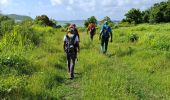 Tour Wandern La Trinité - bouc’le spoutourne  - Photo 6
