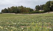 Tour Wandern Lémeré - Lémeré le Coudray - Château du Rivau Lémeré - 11.2km 115m 2h25 - 2024 08 18 - Photo 6