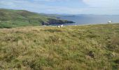 Tour Wandern West Cork - Dursey Sound - Allihies beach - Photo 16