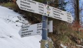 Trail On foot Bad Peterstal-Griesbach - Trogloch-Rohrenbacher Blick - Photo 3