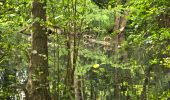 Trail Walking Saint-Chéron - Saint-Cheron - l'Orge - Photo 4