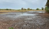 Tour Zu Fuß Zonhoven - Platwijers-Wijvenheide Gele zeshoek - Photo 5