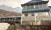 Trail Walking Dangsing - Annapurna Base Camp - Photo 5