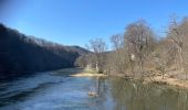 Trail Walking Bouillon - Bouillon 1 - Photo 5