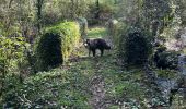 Percorso  Pranles - Volcan des Chirouses - Azur - Photo 2