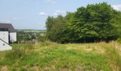 Trail Walking Fosses-la-Ville - Vitrival 030625 - Photo 4