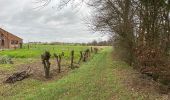 Tour Wandern Ellezelles - La Hamaide 9,2 km - Photo 2