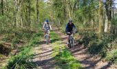 Excursión Bici de montaña Libin - Haute Lesse partie 1 - Photo 17