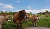 Percorso Bicicletta elettrica Arzenc-de-Randon - AUBRAC  3dle étape  - Photo 2