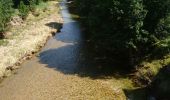 Excursión Senderismo Langogne - de langogne à la Bastide Puylaurent  - Photo 2