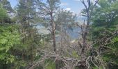 Trail Walking Beaumont-du-Ventoux - Vaucluse Mont Serein - Photo 1