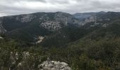 Tour Wandern Aniane - Pont du diable - Eglise Saint-Sylvestre - Lavene (Puéchabon) - Pioch de la Bastide - Photo 16