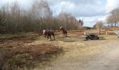 Randonnée A pied Kropp - Wanderroute 14: Ochsenweg - Sorgwohlder Binnendünen - Photo 1