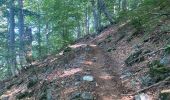 Trail Walking Vivario - Vizzavone Col de Verde - Photo 17