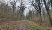 Trail Walking Gézoncourt - gezoncourt - bois du haut pargé - Photo 11