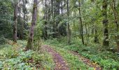 Trail Walking Lier - Lammeke Lier 19 km - Photo 3