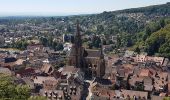 Tour Wandern Thann - Thann - oeil de la sorcière - rocher d'Ostein - camp de Turenne - Molkenrain - chëne Wotan - croix du Rangen - Photo 1