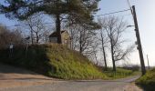 Tour Elektrofahrrad Ronse - Renaix - Beausite - Anvaing Carnois (œufs) - Photo 16