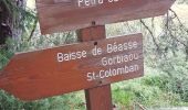 Excursión Senderismo Lucéram - Beasse Peira Cava  - Photo 9