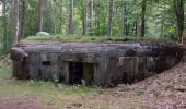 Trail Walking Philippsbourg - Le Rothenbourg - Photo 5