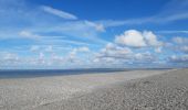 Randonnée Marche Cayeux-sur-Mer - lac de caouaisse . brighton . pointe de hourdel . lac de caouzisse   - Photo 11