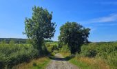 Tocht Stappen Froidchapelle - Balade au Lac de l'Eau d'Heure - Photo 5