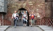 Trail Walking Saint-Jean-Pied-de-Port - Camino Francés - Etp1 - Saint Jean Pied de Port - Ronceveau - Photo 4