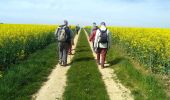 Trail Walking Venoy - AVF - Beines 20-04-2022 - Photo 8