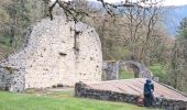 Trail Walking Arvière-en-Valromey - AIN / SUR LYAND:  GRANGE D'EN BAS - PONT DU FAON - Photo 3