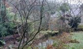 Trail Walking Limerzel - PR_56_Limerzel_AA_01_Vallee-Du-Trevelo_Circuit1b_20231215 - Photo 3
