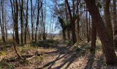 Randonnée Marche Aerschot - Gelrode 14,7 km - Photo 3