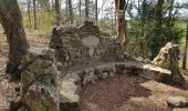 Randonnée Marche Aywaille - Aywaille - Kin - Château de Harzé - Awan - Photo 4